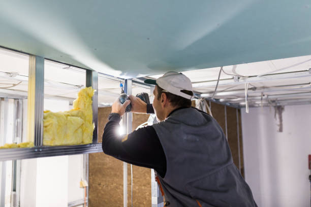 Best Insulation Installation Services in Caldwell, OH